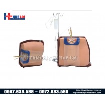 Mô hình thực hành gây tê tủy sống